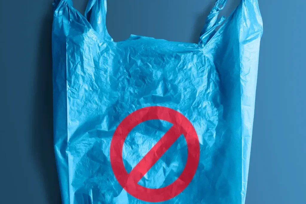 AB’nin plastik poşet yasağını temsil eden görsel: yasak işaretiyle plastik poşet ve bez çanta alternatifi